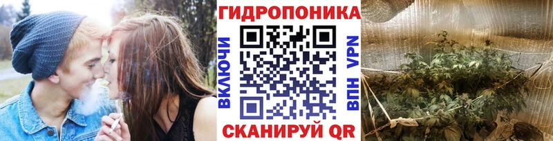 Где можно купить наркотики Куртамыш МАРИХУАНА  Меф мяу мяу  Cocaine  А ПВП  ГАШИШ 