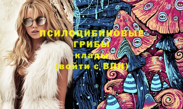 гашик Билибино