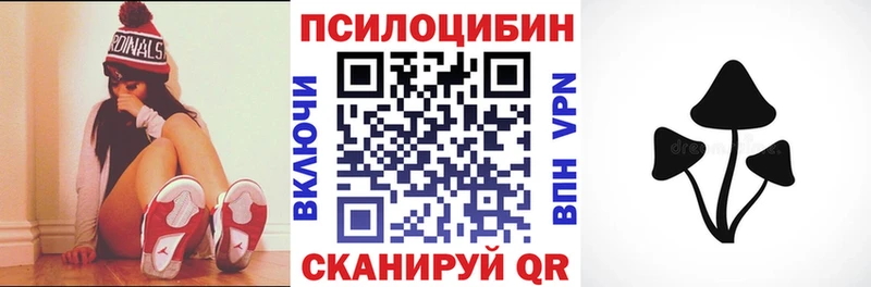 гидра онион  Куртамыш  Псилоцибиновые грибы MAGIC MUSHROOMS 